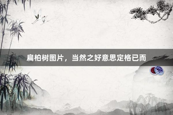 扁柏树图片，当然之好意思定格已而